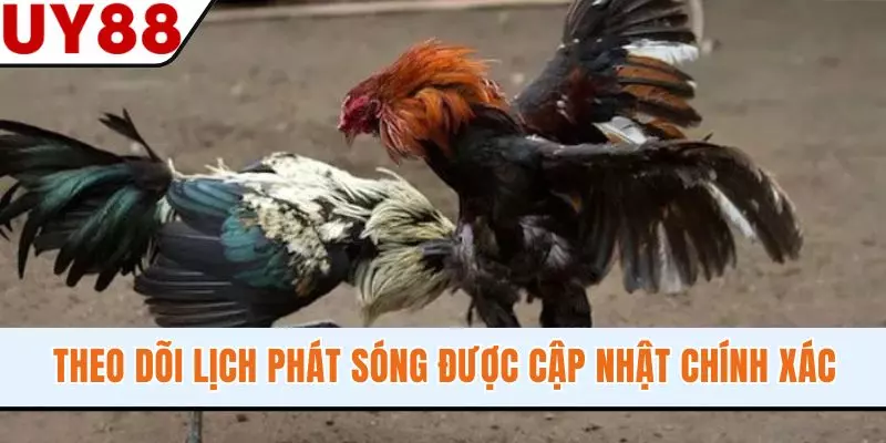 Theo dõi lịch phát sóng được cập nhật chính xác